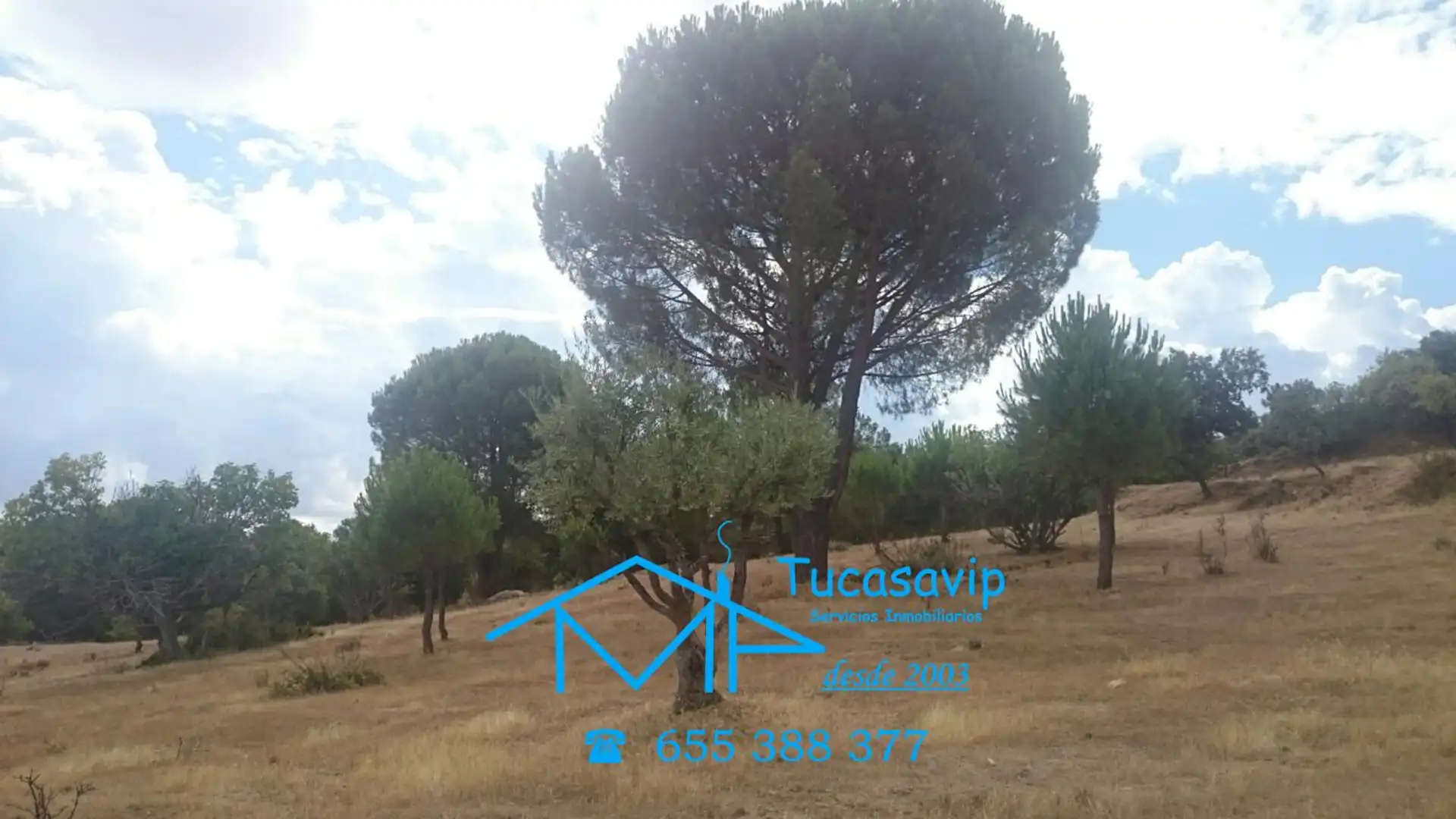 Terreno en venta en Pelayos de la Presa