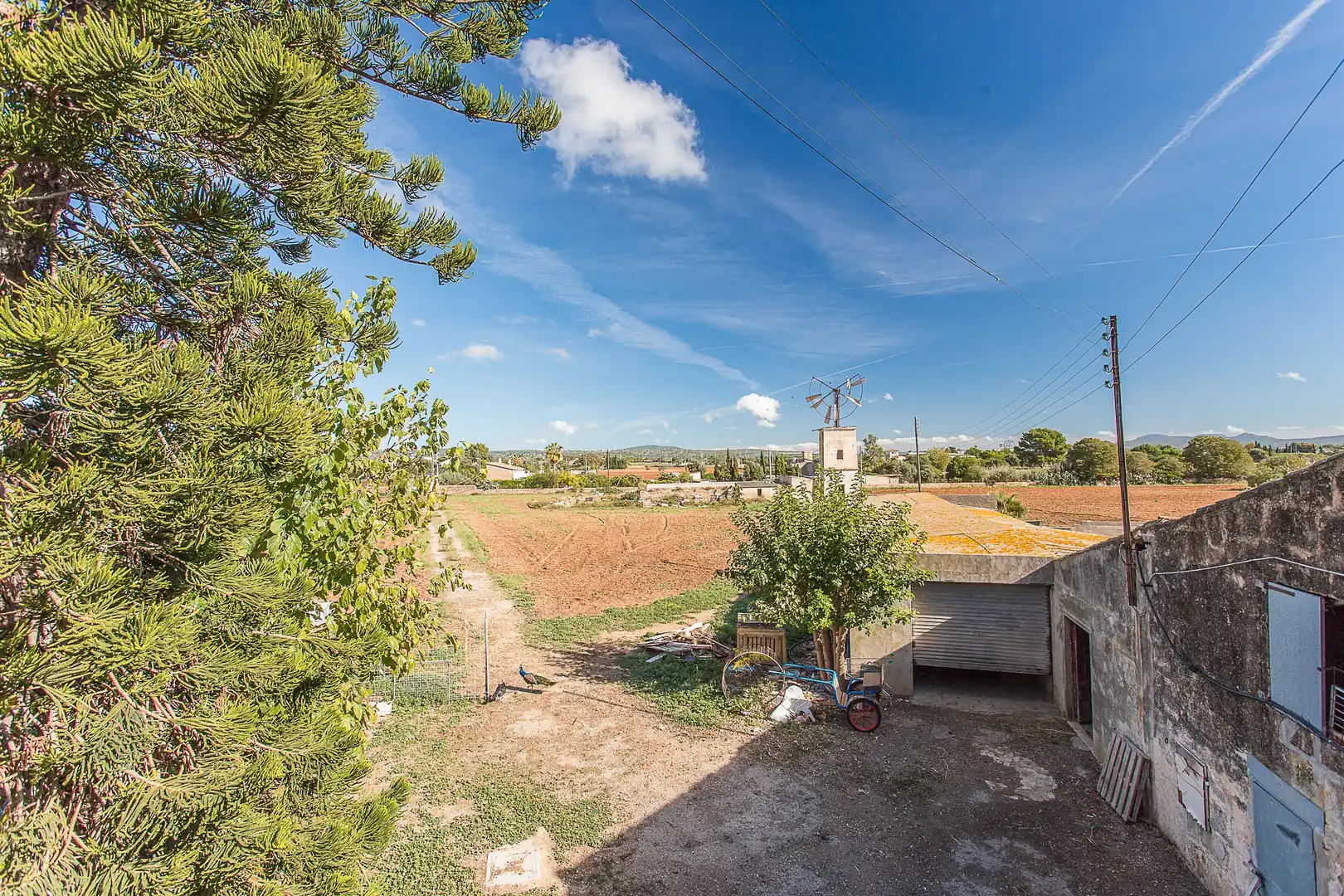 Finca rústica en venta en Carrer Can Mas, 26, Els pla de na Tesa