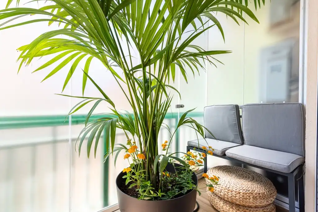 Appartement compact avec piscine à vendre à Las Gaviotas  - Carvajal, imagen 15