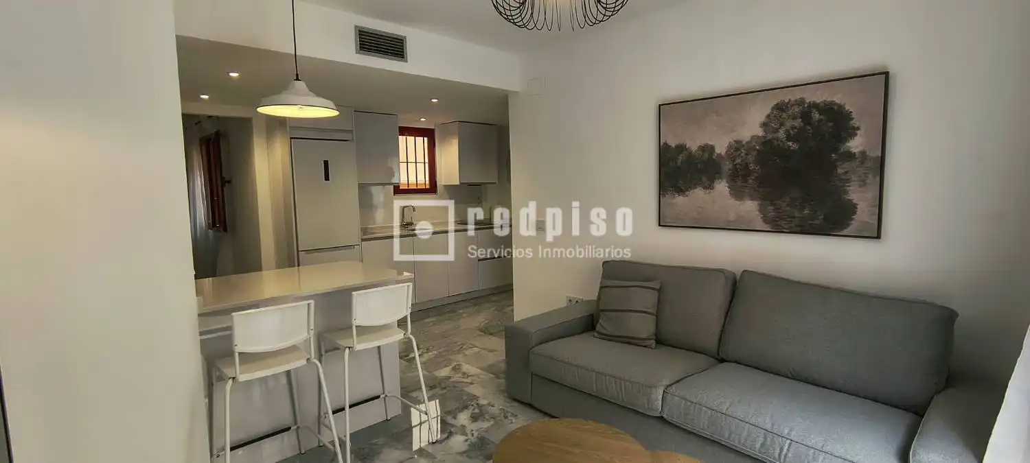 Sala d'estar de Pis de lloguer en Centro