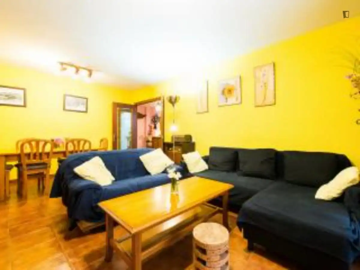 Living room of Apartments for rent in Madrid  with Air Conditioner, Heating and Furnished