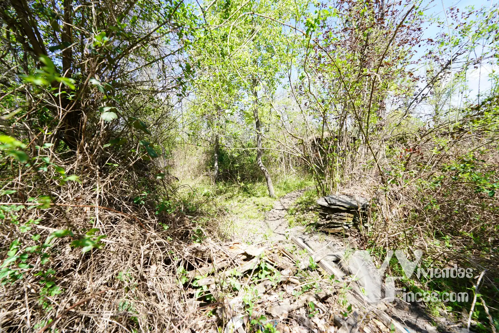 Terreno rústico en venta en Campillo de Ranas, imagen 14