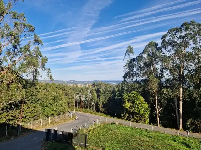 Local commercial à vendre à Camiño da Cova da Pereira 22, imagen 14