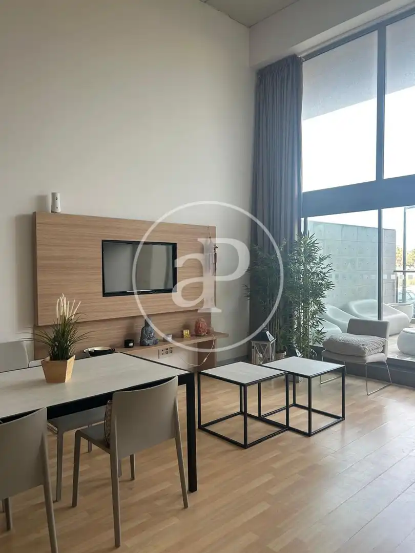 Sala de estar de Loft de alquiler en  Valencia Capital con Aire acondicionado, Calefacción y Jardín privado