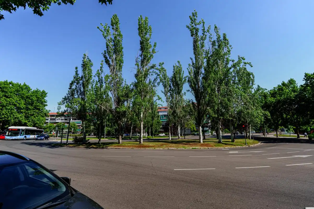 Exterior view of Ground floor for sale in Madrid  with Heating