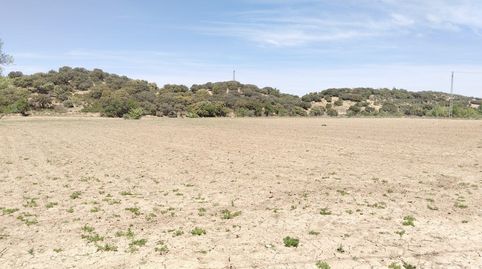 TERRENO EN VENTA EN ARCHIDONA ANTEQUERA, imatge 5