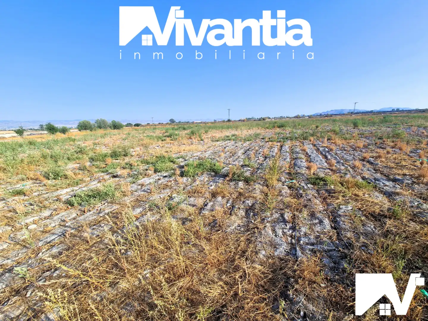 Terreni e lotti in vendita a Diseminado Torrecilla 477, imagen 6