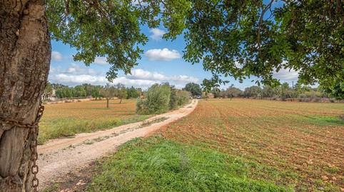 Photo 4 of Country house for sale in L'Olivera, Illes Balears