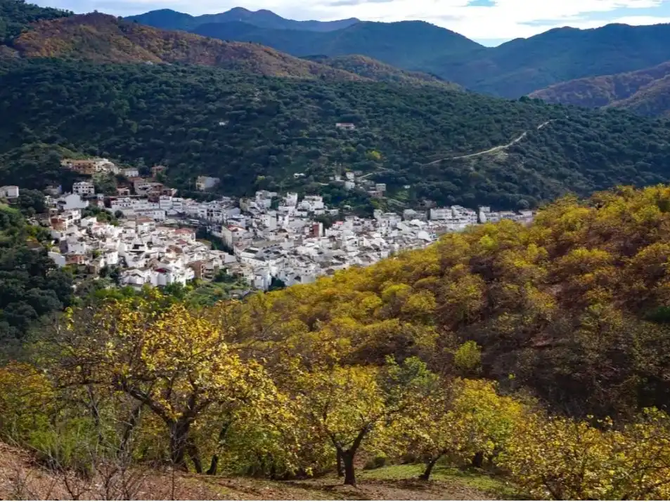 Vista exterior de Casa o xalet en venda en Igualeja amb Balcó