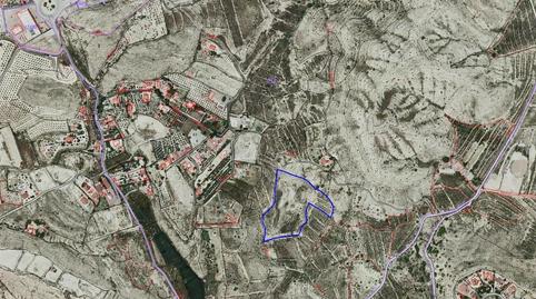 Foto 3 de Terreno en venta en Pedanías Este, Aspe