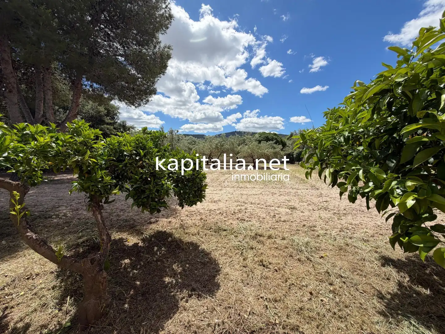 Chalet con jardín en venta en Sant Josep - Zona Hospital, imagen 36