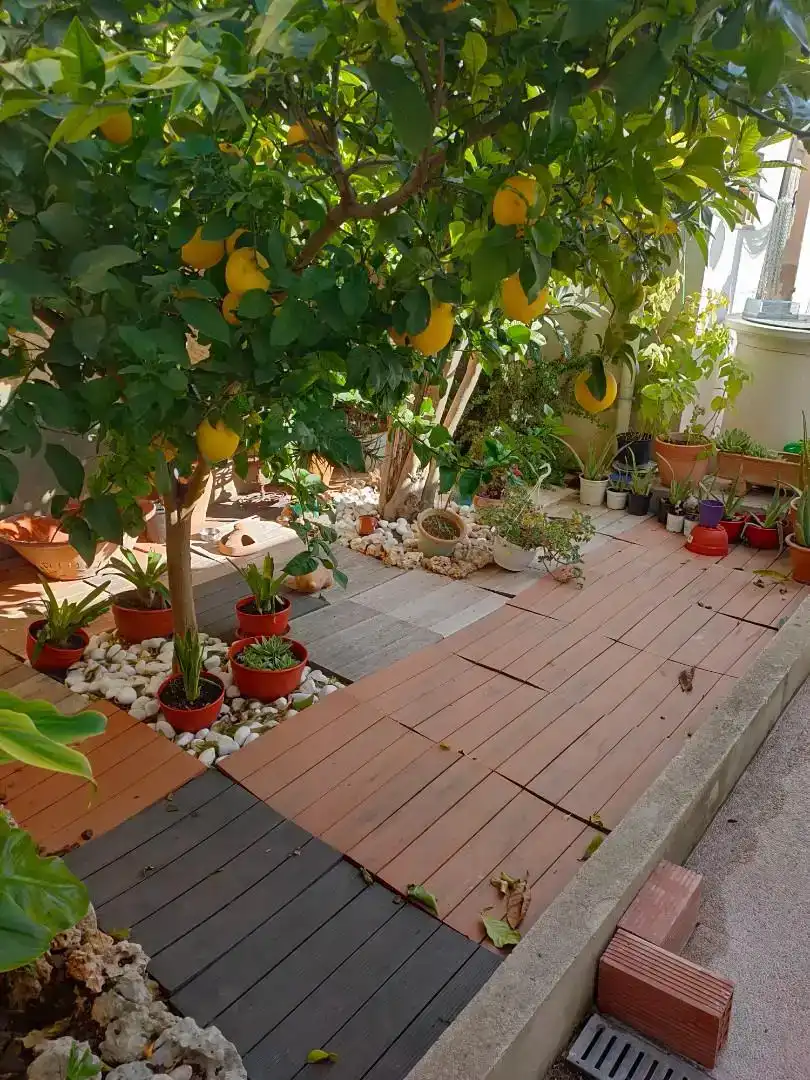 Terrace of Garage for sale in Ariany