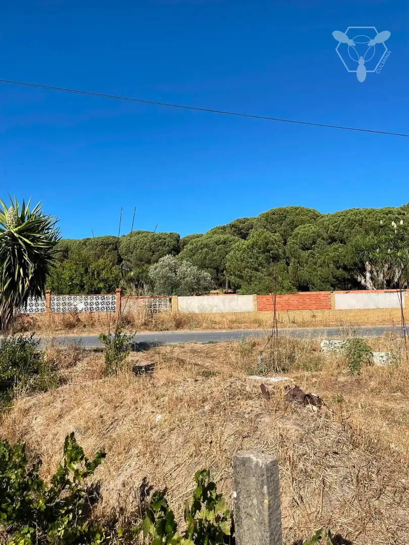 Chalet en venta en Bonares, imagen 10