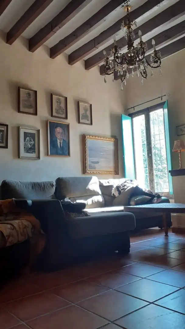 Sala d'estar de Casa o xalet en venda en Elche / Elx amb Aire condicionat, Jardí privat i Terrassa