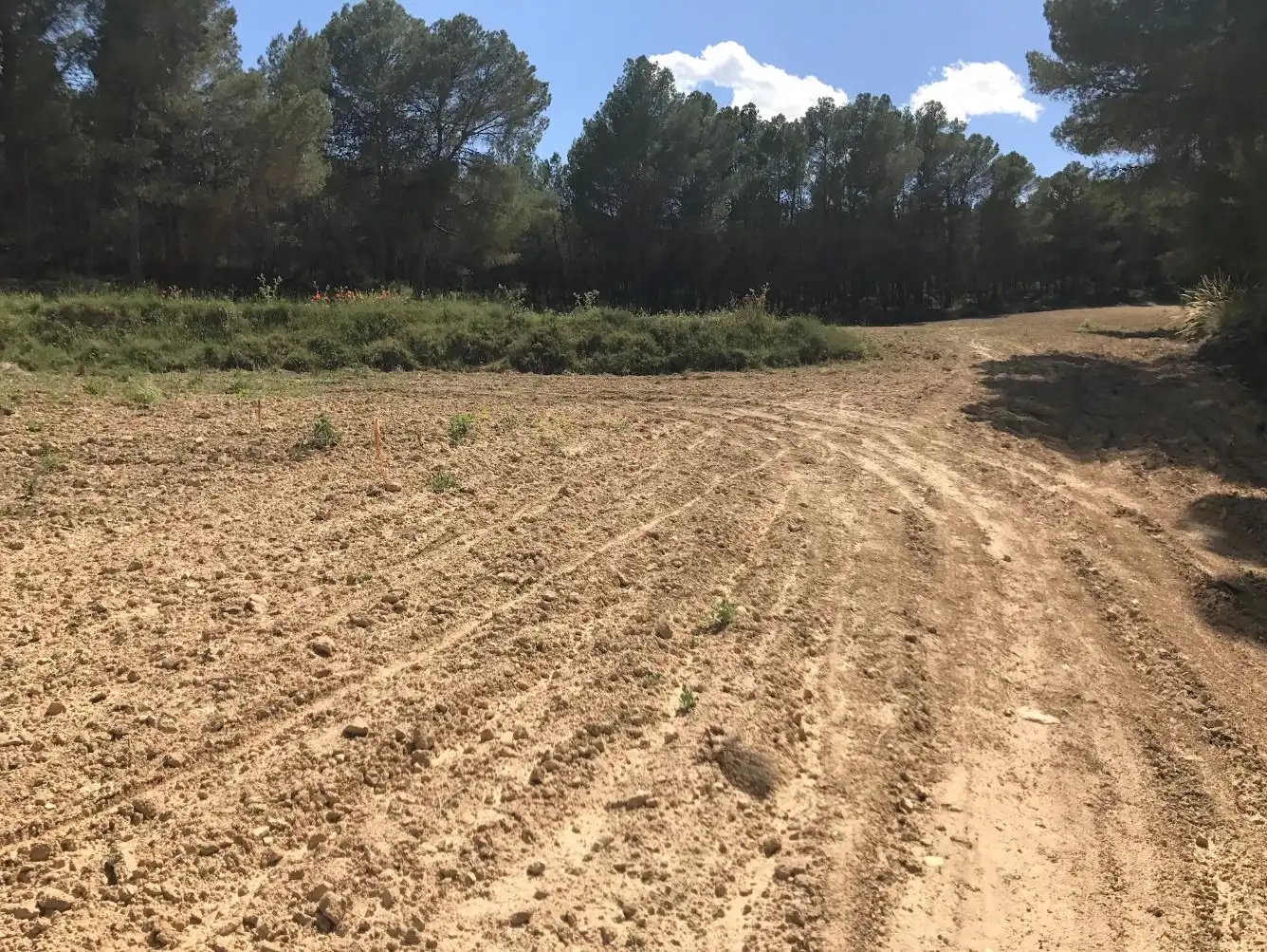 Terreny rústic en venda a Caravaca de la Cruz, imagen 16
