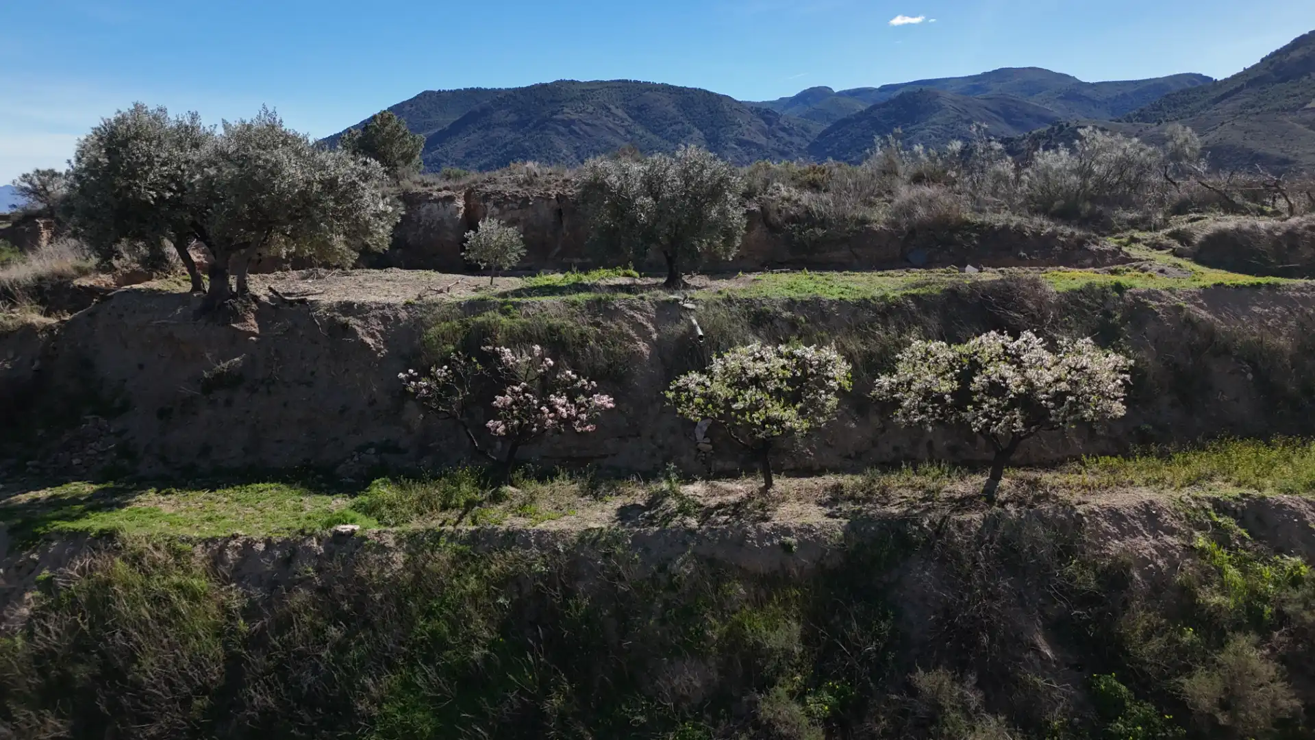Country homes for sale in Padules, Almería