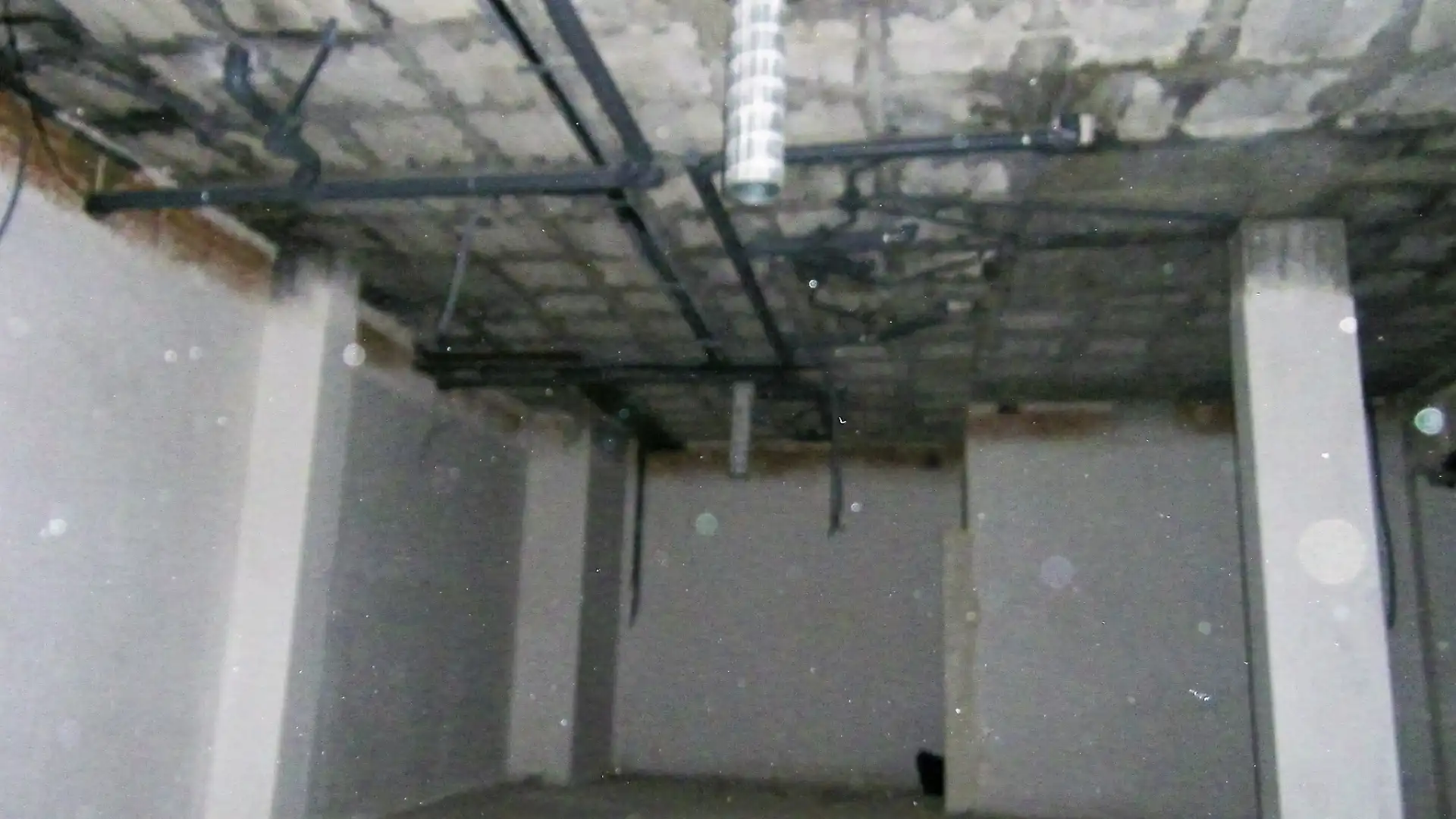 Commercial properties for rent in Elche / Elx