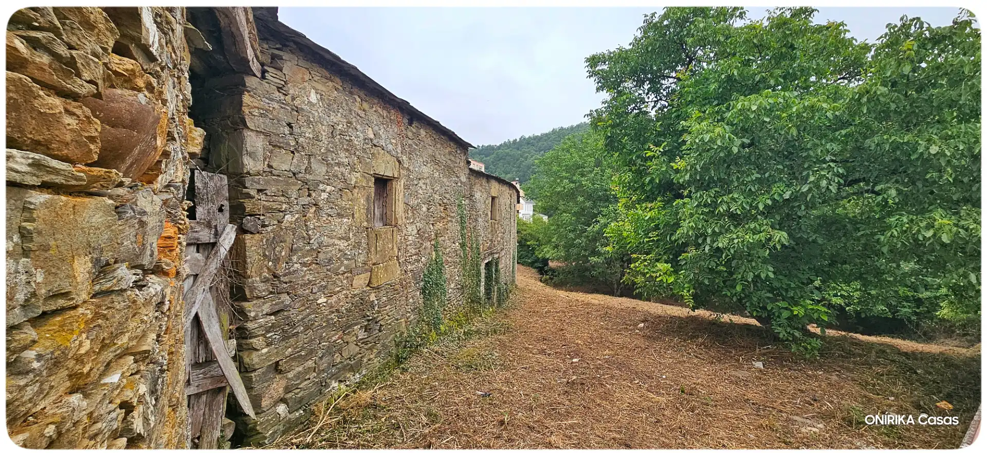 Vista exterior de Casa o chalet en venta en Triacastela con Jardín privado, Trastero y Balcón