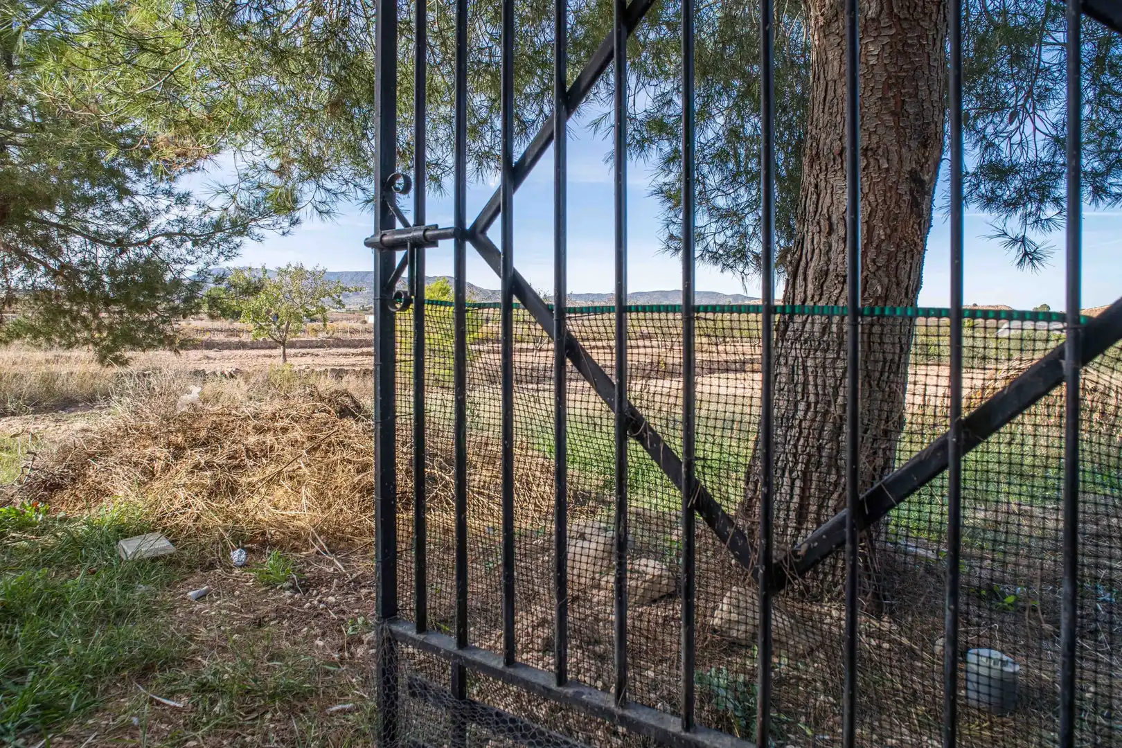 Adosado en venta en El Pinós / Pinoso, imagen 23