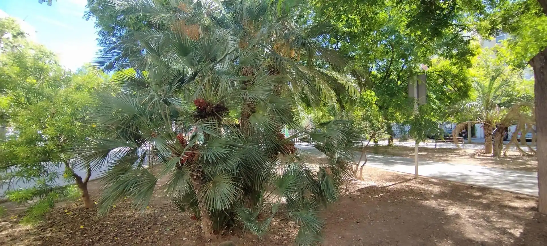 Piso en venta en Elche ciudad, imagen 17
