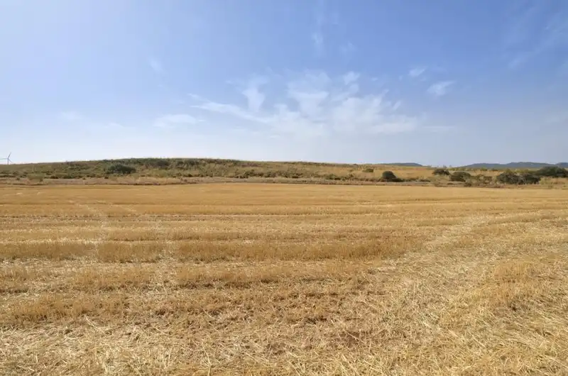 Terreni e lotti in vendita a Padul, imagen 21