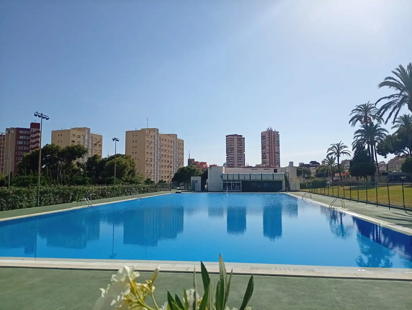 Piscina de Pis en venda en Benidorm amb Piscina, Moblat i Piscina comunitària