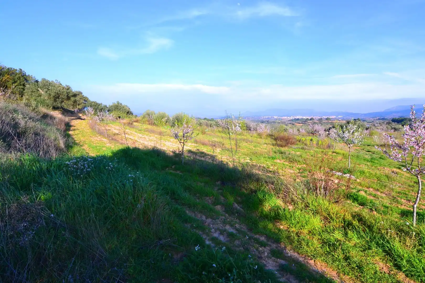 Rural land for sale in Gandesa, imagen 33