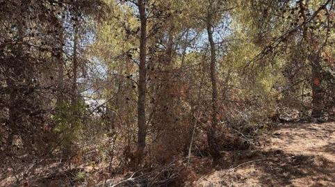 Foto 2 de Residencial en venda a N/a, -1, Golf Bahía, Alicante