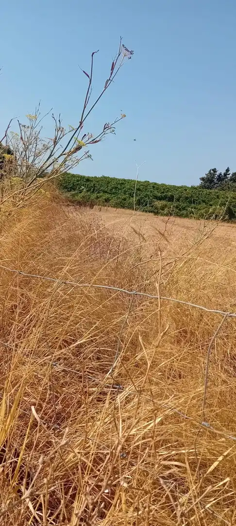 Terreni e lotti in vendita a Camino del Atunero, imagen 7