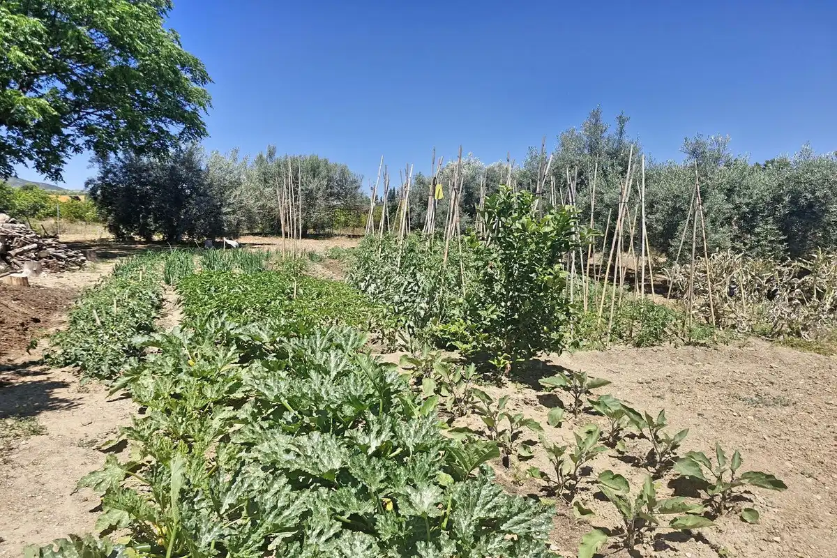 Finca rústica en venda en Málaga amb Jardí privat, Terrassa i Traster