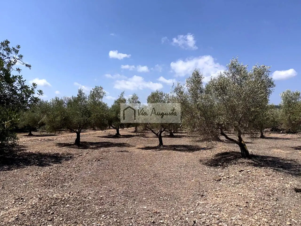 Terrain rustique à vendre à Espinal, imagen 18