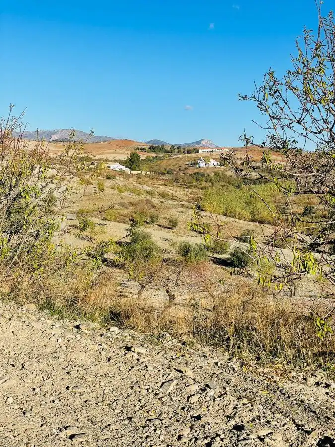 Terreny rústic en venda a Puerto Lumbreras, imagen 13