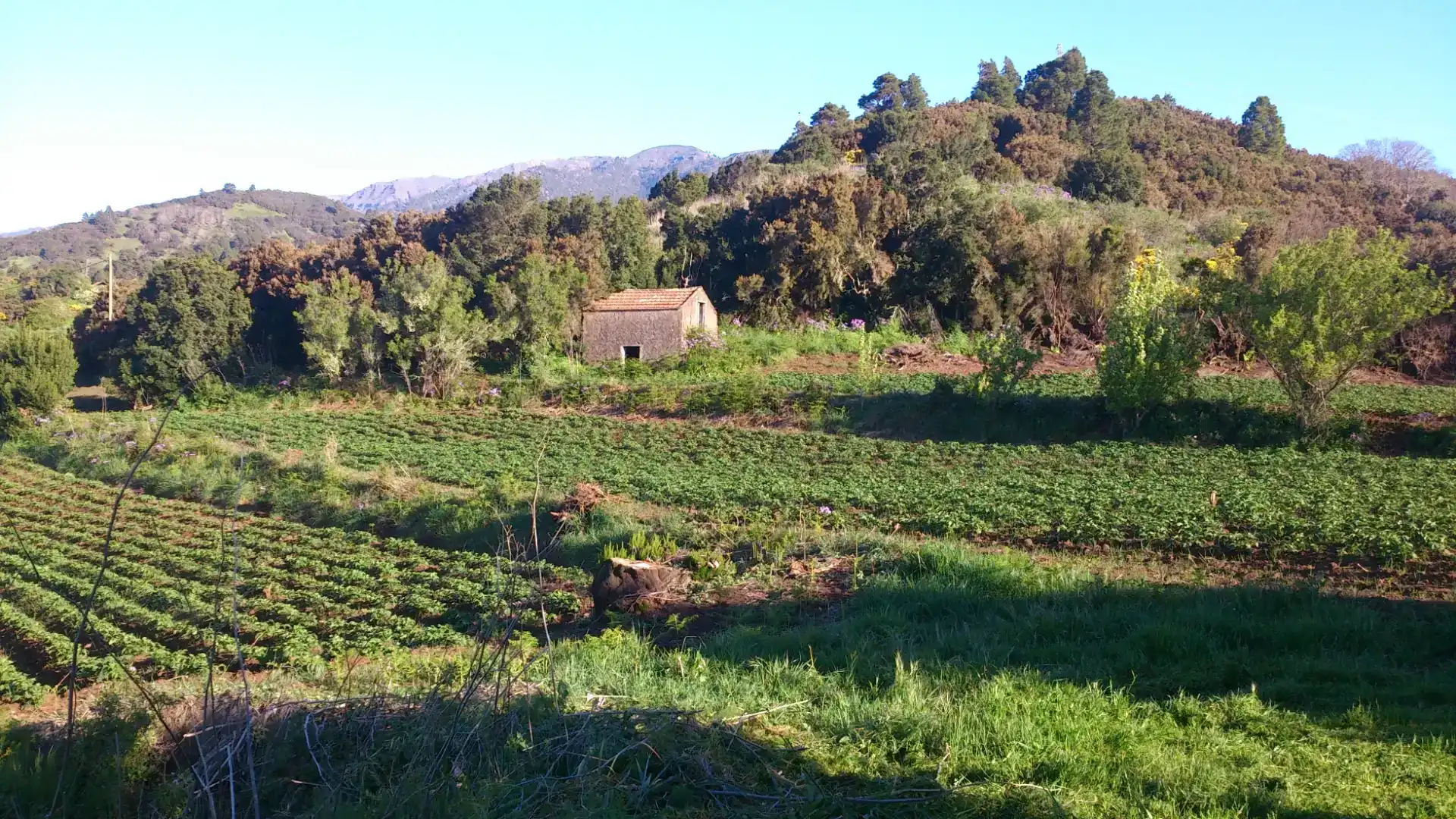 Finca rústica en venta en Garafía, Santa Cruz de Tenerife