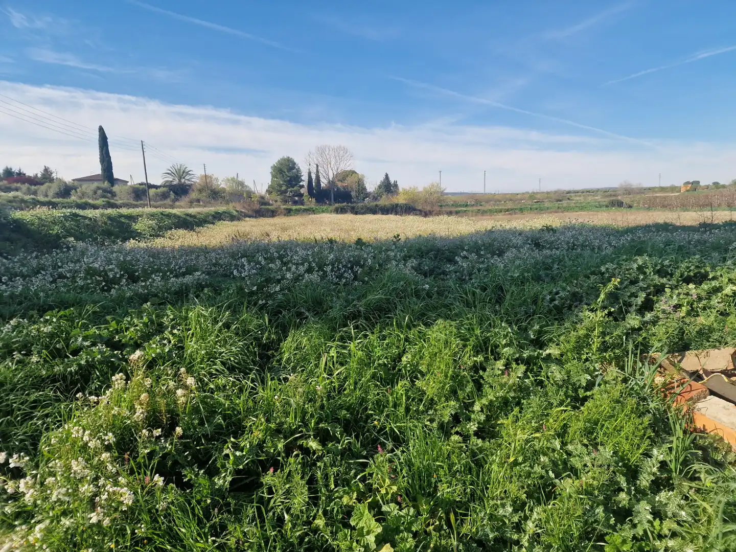 Terreny en venda en Les Borges Blanques