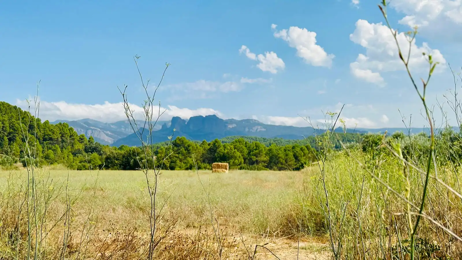 Terreno rustico in vendita a Lledó, imagen 7