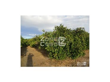 Country house for sale in Poligono Numero 6 Alberell