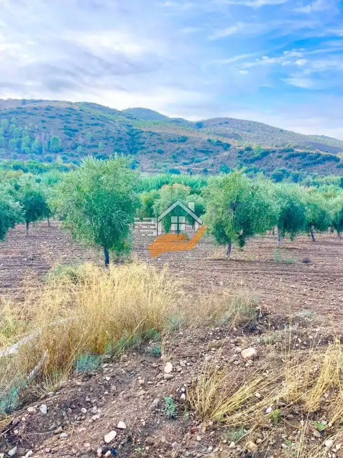 Maison rustique à vendre à Vélez-Rubio, imagen 46