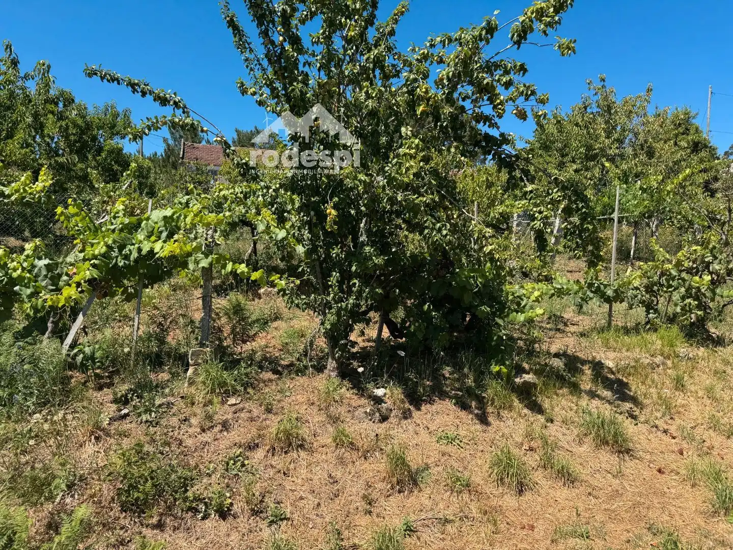 Maison à vendre à Crecente, imagen 17
