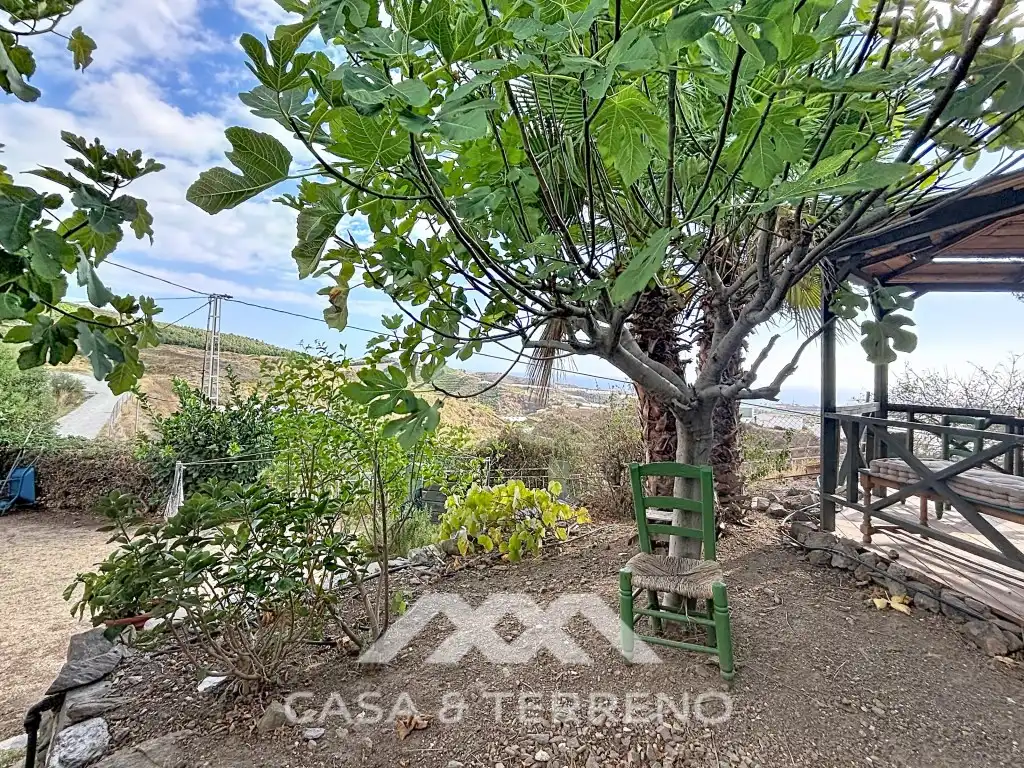 Garten von Haus zum Verkauf in Vélez-Málaga mit Klimaanlage und Terrasse