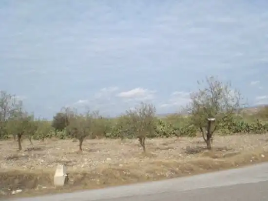 Terrain rustique à vendre à Huércal-Overa, imagen 4