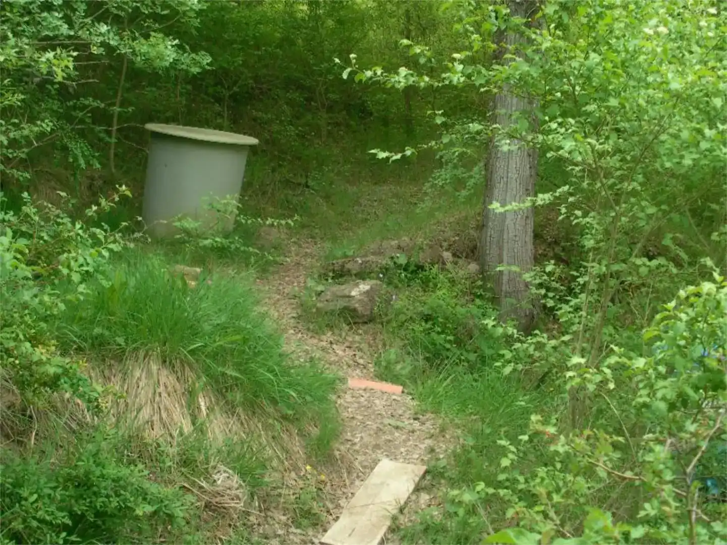 Finca rústica en venda en Sant Esteve de la Sarga, Lleida