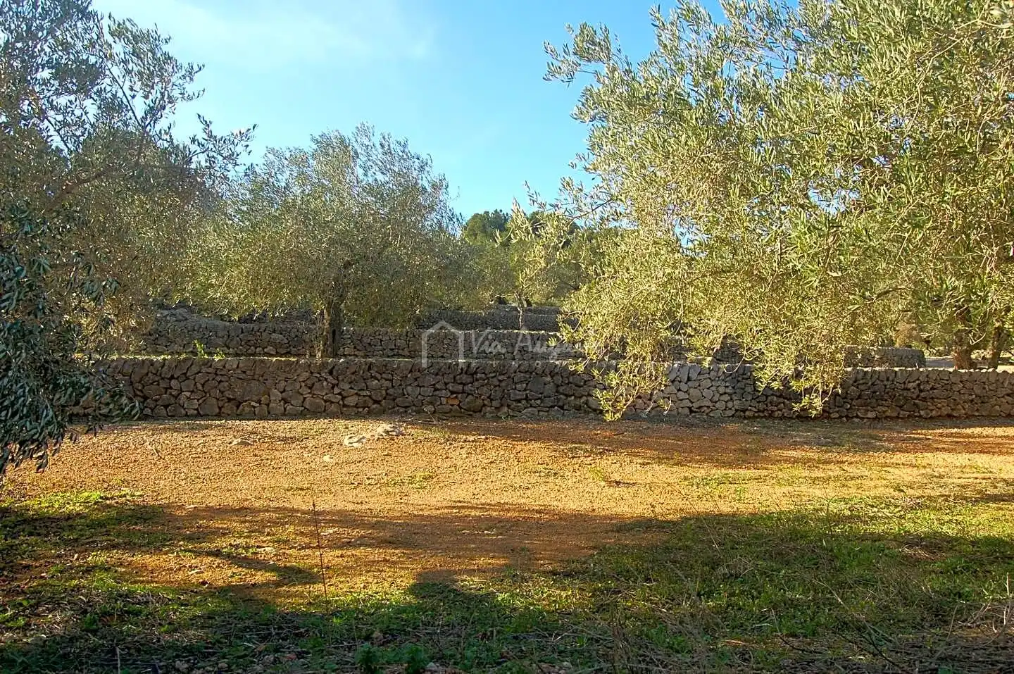 Terreno rustico in vendita a Masets, imagen 15