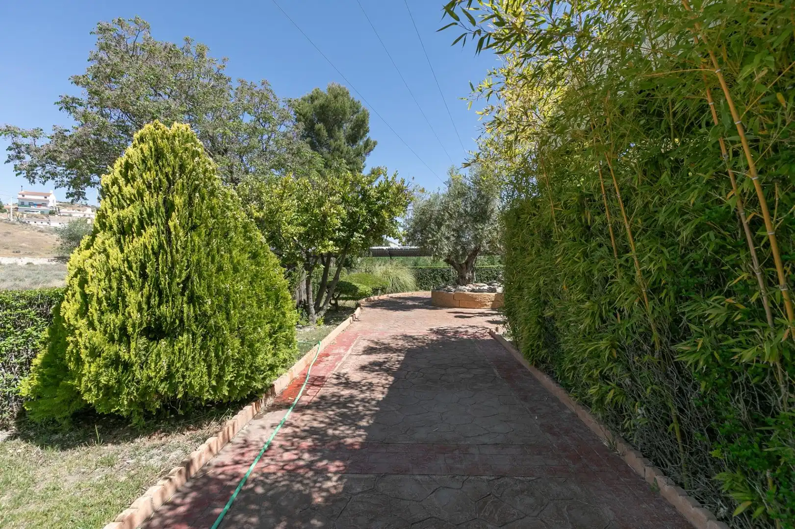 Local commercial à vendre à Castilléjar, imagen 31