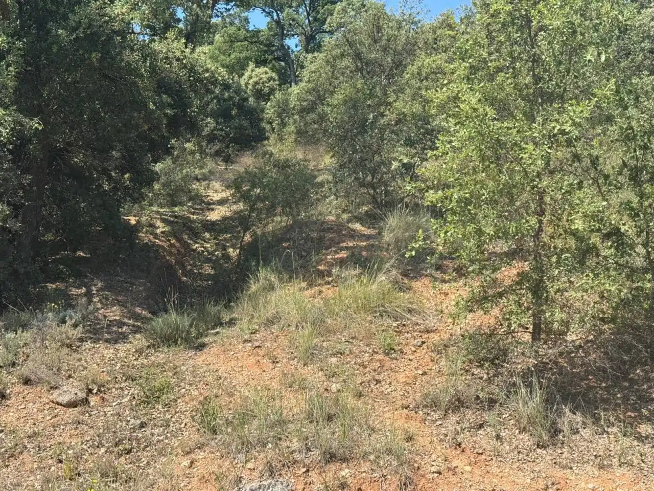Terrenos y solares en venta en Camino Palmeras, imagen 14
