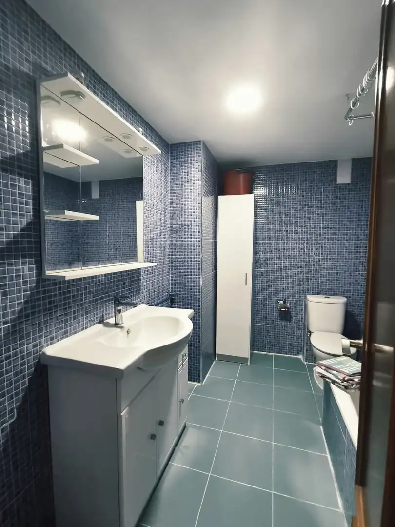 Badezimmer von Wohnung zur Miete in Medio Cudeyo mit Parkett und Möbliert
