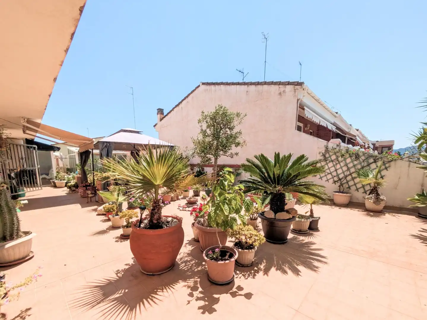 Terrassa de Pis en venda en Amposta