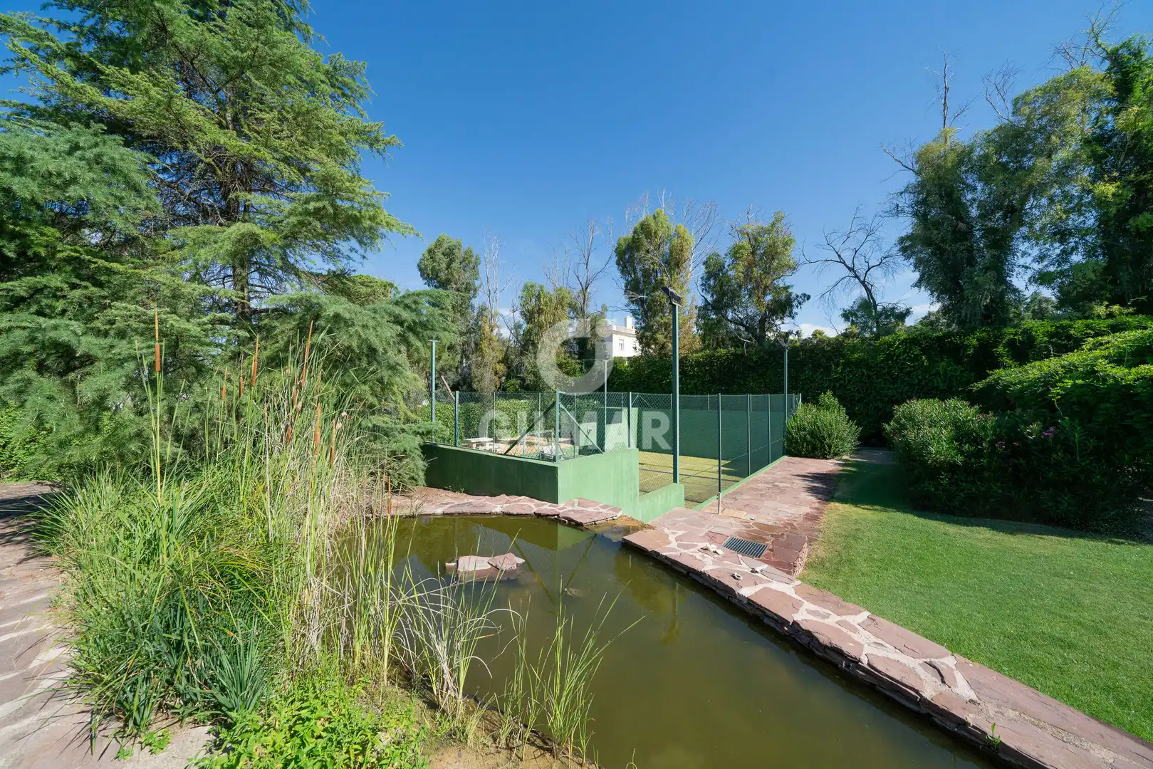 Jardín de Casa o chalet en venta en Algete con Piscina