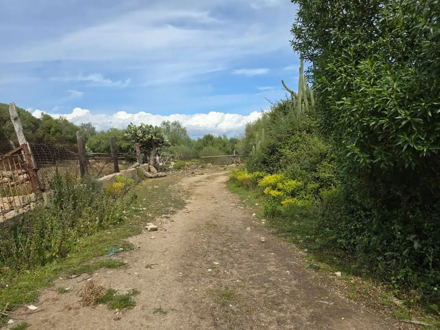 Finca rústica en venta en  Palma de Mallorca con Jardín privado, Terraza y Trastero