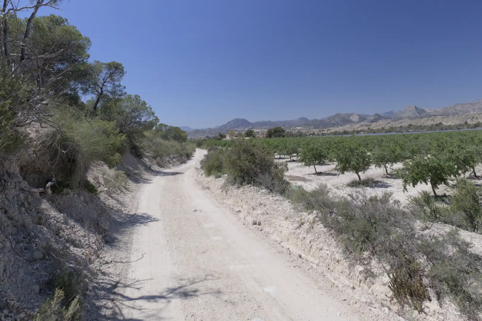 Terrenys i solars en venda a PT ESPARTAL, imagen 11