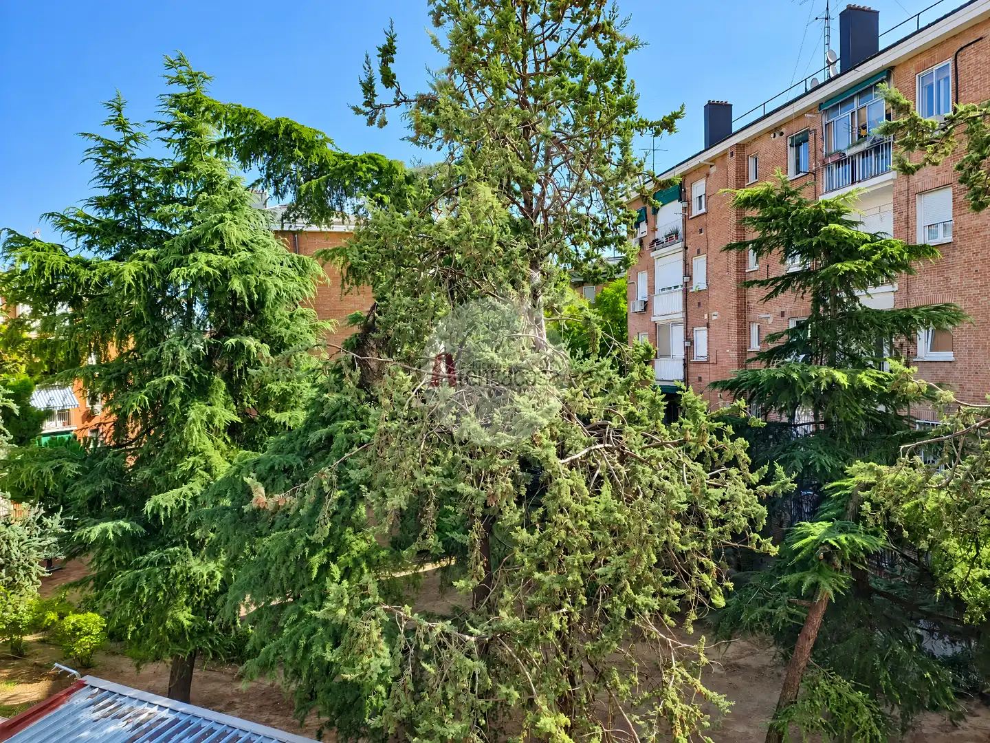 Appartement compact avec ascenseur à vendre à Calle de Francisco Altimiras, imagen 21
